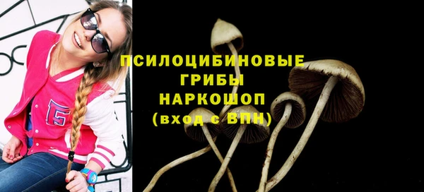 марки nbome Гусиноозёрск