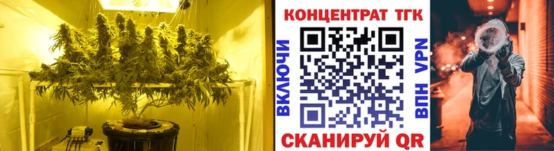 ТГК концентрат  нарко площадка какой сайт  Данков 