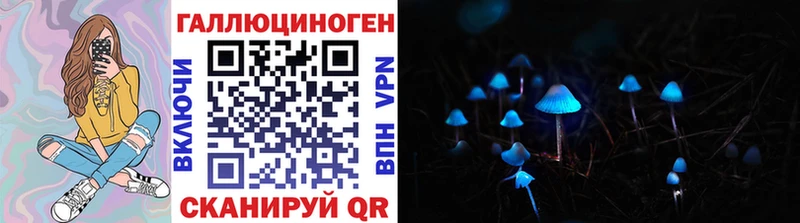 Псилоцибиновые грибы Magic Shrooms Данков